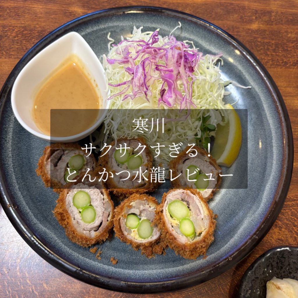 【寒川】サクサクすぎる！とんかつ水龍レビュー