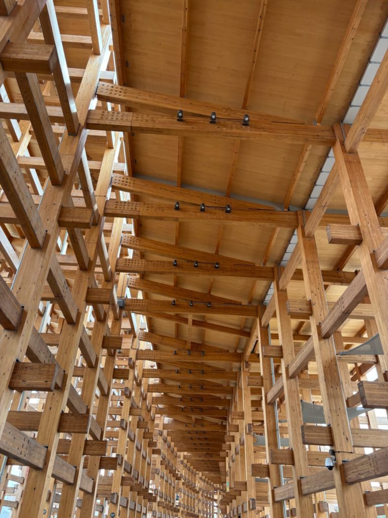 【9ヶ月妊婦】灼熱激混みの大阪万博レポ